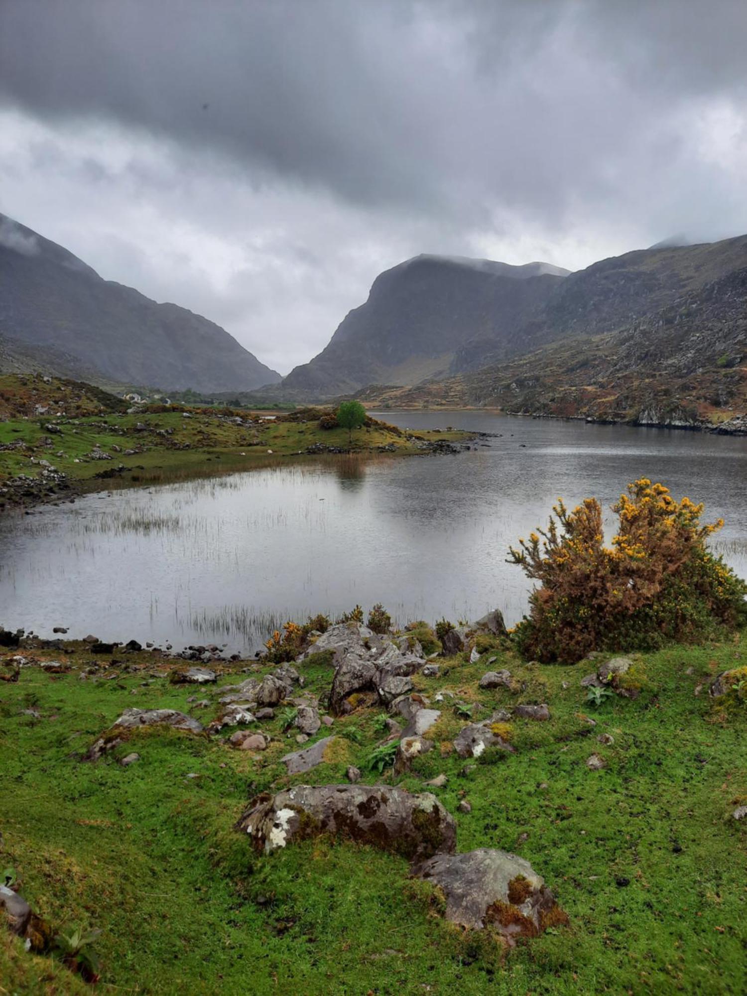 Colleen Bawn Cottage Gap Of Dunloe Kerry Laune Bridge Εξωτερικό φωτογραφία